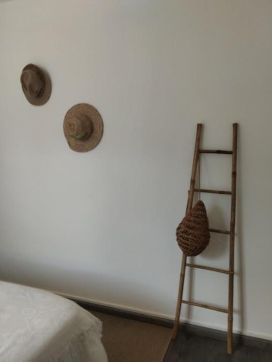La Maison Cosy Encausse-les-Thermes المظهر الخارجي الصورة